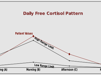 daily free cortisol pattern