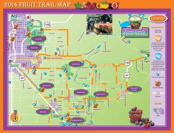 Central Valley fruit trail in full action 