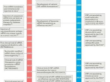 mRNA research timeline. Click to enlarge.