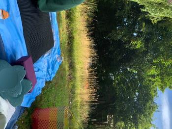 Morning outside yoga (now why does it put my pics sideways?)