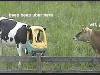 uber