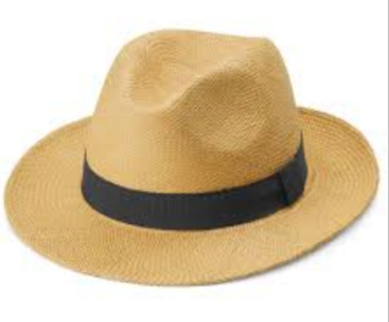 Man's Panama hat