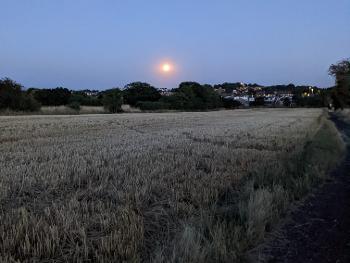 August moon above field