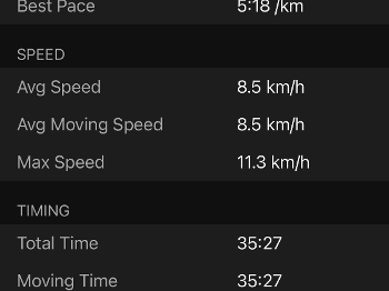 Garmin stats