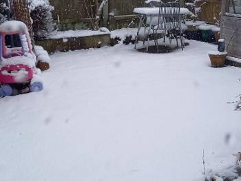 Snowing still and in the side garden, that car's going to take some starting!