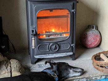 Log burner with large black dog asleep in front of it 