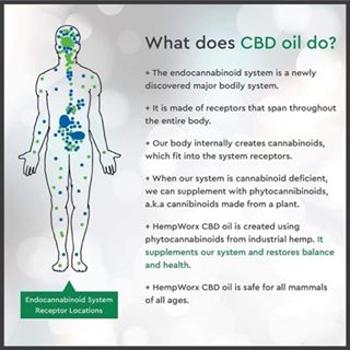 What does CBD oil do for you