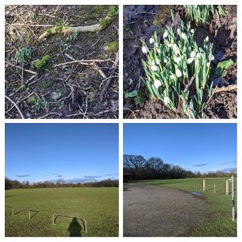 Used to walk my dogs up there! Even found some snowdrops 😅