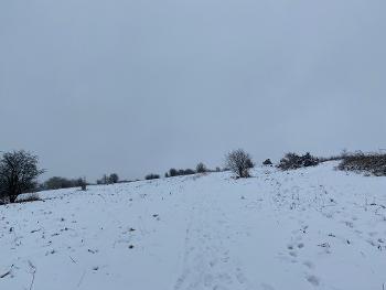 Snow covered fields 