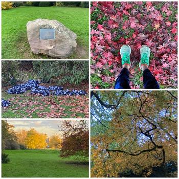 Photos from the arboretum in autumn