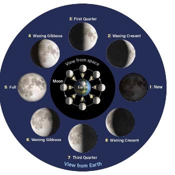 Phases of the moon