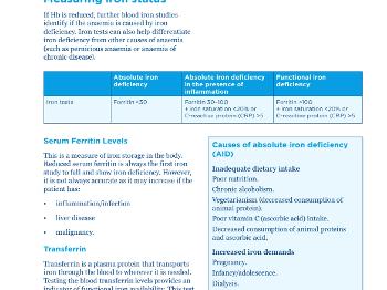 Iron and ferritin guidelines
