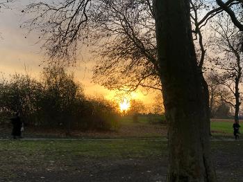 Sunrise in the park.
