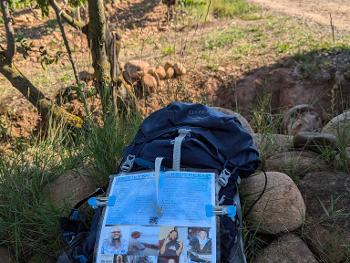 Camino backpack sign