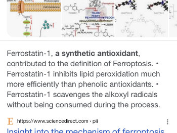 Ferrostatin 