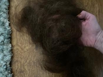 Photo of a heavy collection of hair in a pile lost in locks not in fine strands. 