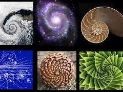 Numbers in nature, a storm, space, a sea shell, a flower, 