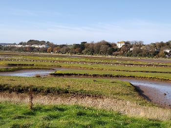 Wetlands