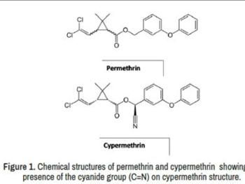Chemical structure of Permethrin 