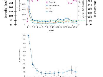 Estrogen patches