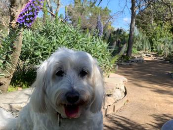 Mitzi from sunny California says Hi back at you!