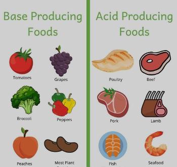 Types of food drawing