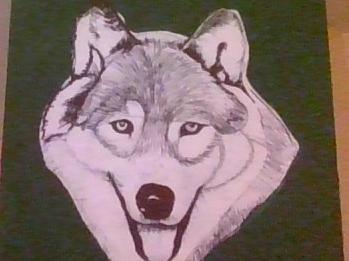 pen and ink details of wolf face...