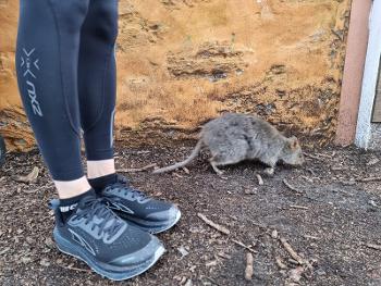 Running with the Quokka ❤️🏃‍♀️
