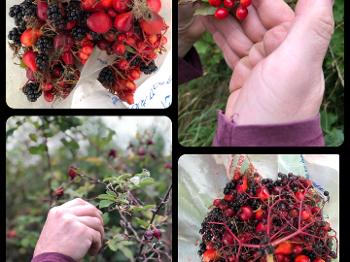 Foraged berries…