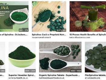 Results of image search for "spirulina" 