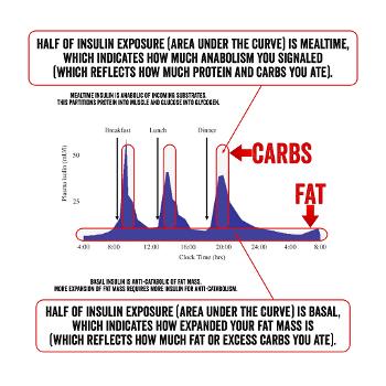 fat and basal insulin (source: Dr. Ted Naiman)