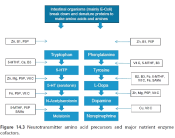 Vitamins & minerals required for neurotransmitter synthesis