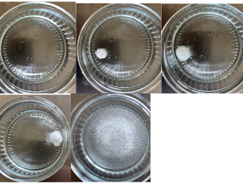 A sequence of photos of Vencamil in a small pot of water. Just over one minute.