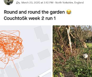 Strava trace and cat in garden