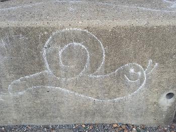 chalk snail