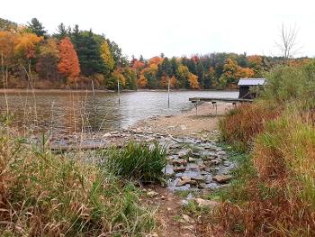 Autumn colours