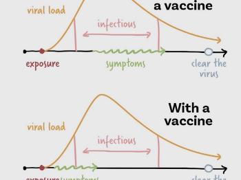 Example of contagious period differences for the vaccinated and unvaccinated.