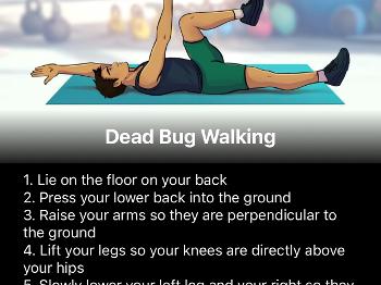Dead bugs in ZXR (Zombies, Run)