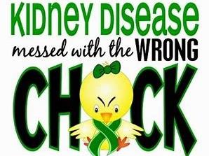 kidney chick