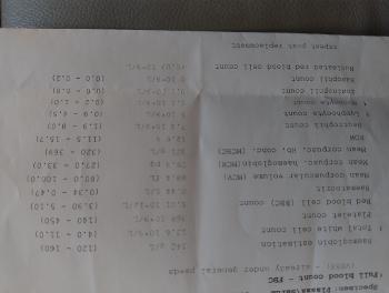 photo of blood results 