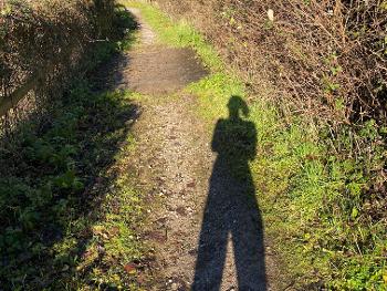 Shadow on a bright, sunny path