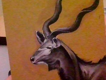 great kudu
