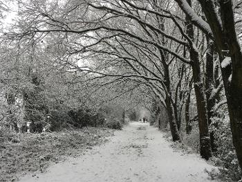 My regular route dressed in winter white