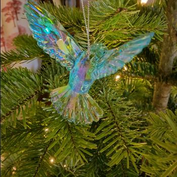 Hummingbird on Christmas tree. Wings raised like an angel. 