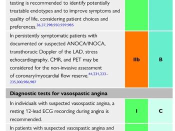 ESC 2024 Management guidelines for chronic coronary syndromes 