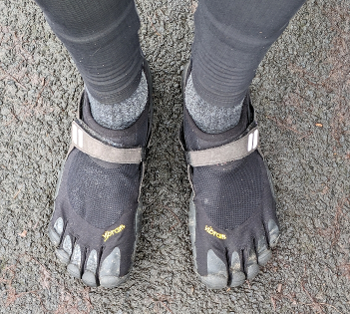 Toe shoes. Specifically the Vibram TrekSport model in black.