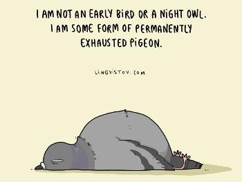 Exhausted pigeon cartoon