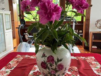 My peonia in “vase of peonies “, my wife's artwork.🤗