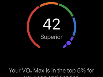 VO2 max rating