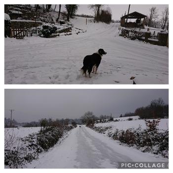 Snowy, icy, below-zero running conditions in the French countryside